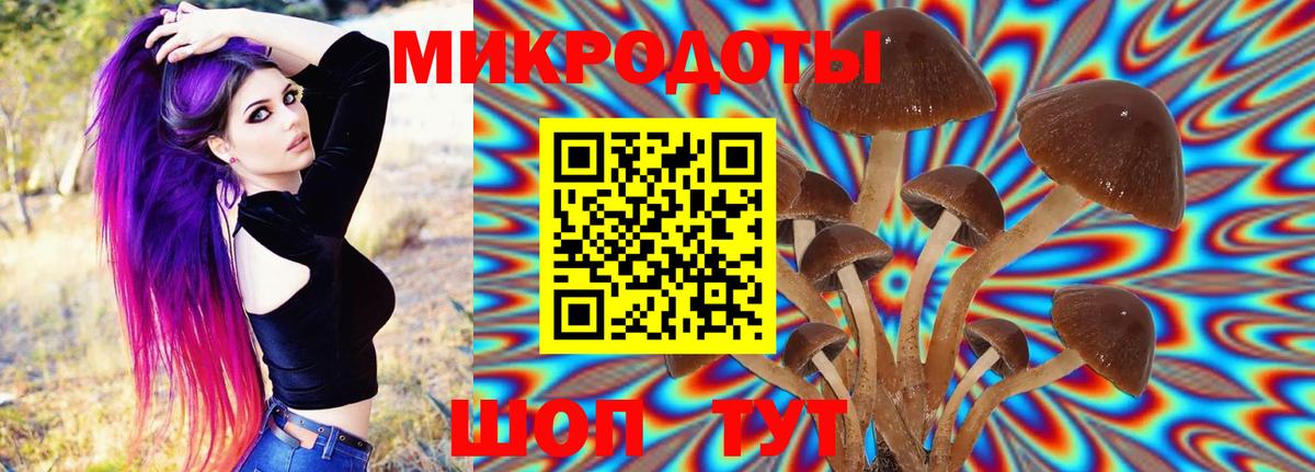 Арзамас  Псилоцибиновые грибы Cubensis  Вход с VPN  Галлюциногенные грибы мицелий 